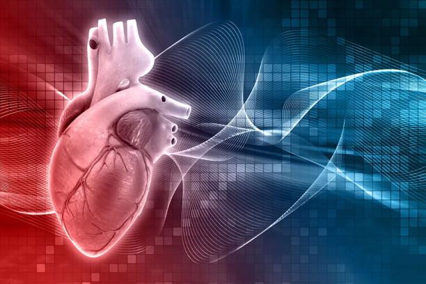 Who Offers the Best Cardiac, Orthopedic & Women's Health Treatment in Udaipur Under One Trusted Hospital? 